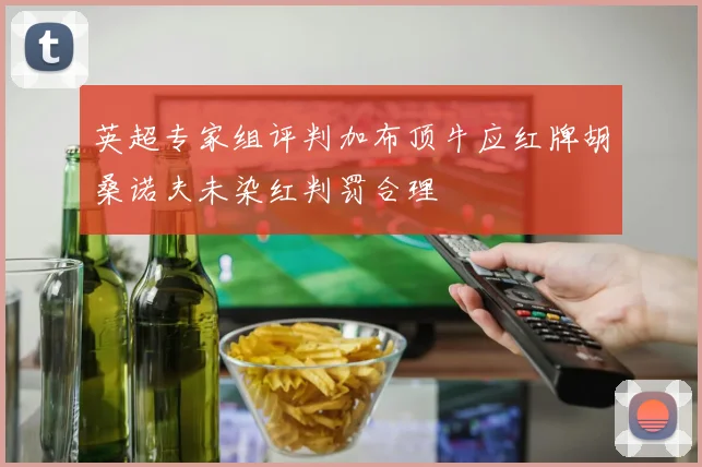 英超专家组评判加布顶牛应红牌胡桑诺夫未染红判罚合理