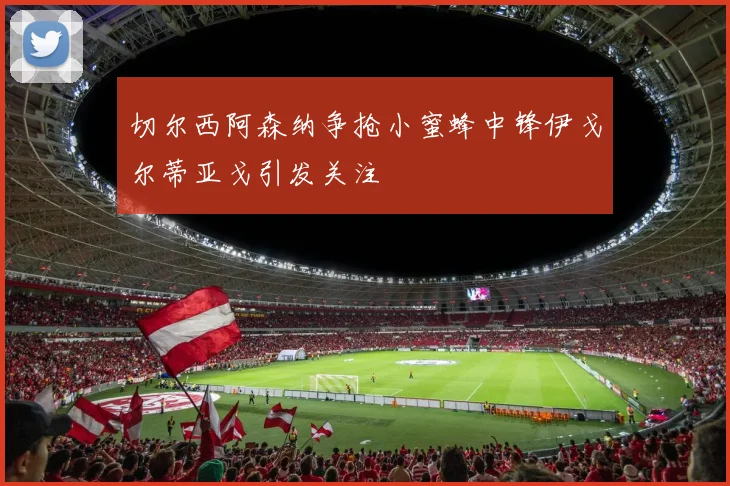 切尔西阿森纳争抢小蜜蜂中锋伊戈尔蒂亚戈引发关注